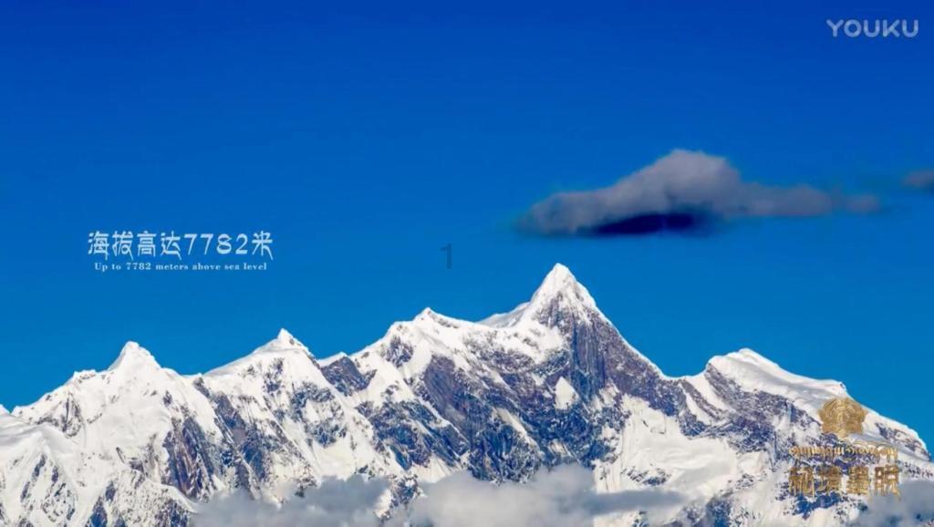 红色鹦鹉逃脱