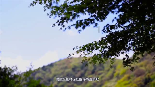 新款iPhone手机壳——龙爪数量惹争议