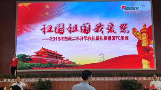 营救小猫头鹰