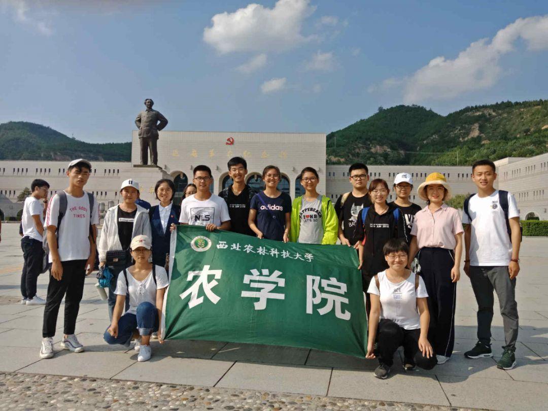 整容为何越来越普遍，人们的思想是不是都已经改变？游戏画面