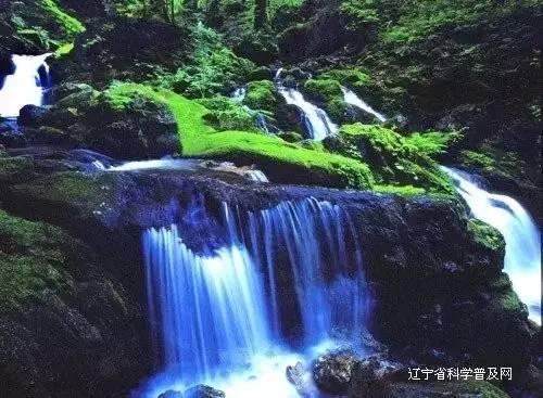 休闲钓鱼