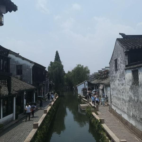 救援袋鼬