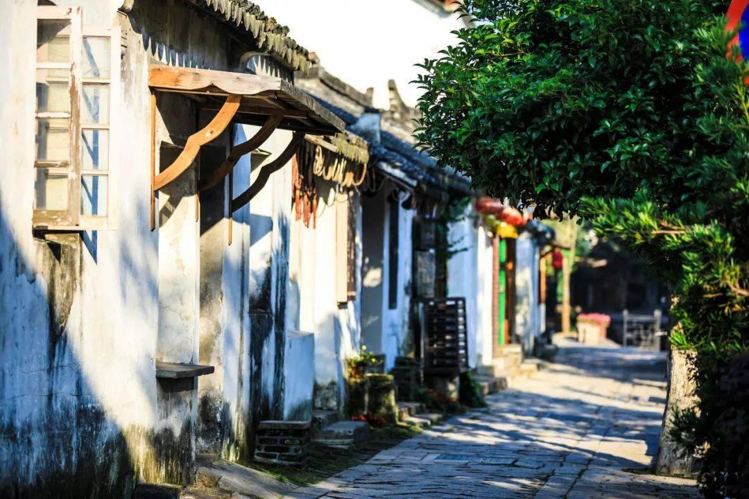 蛇吃金钥匙